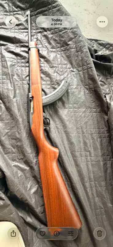 Ruger 10/22