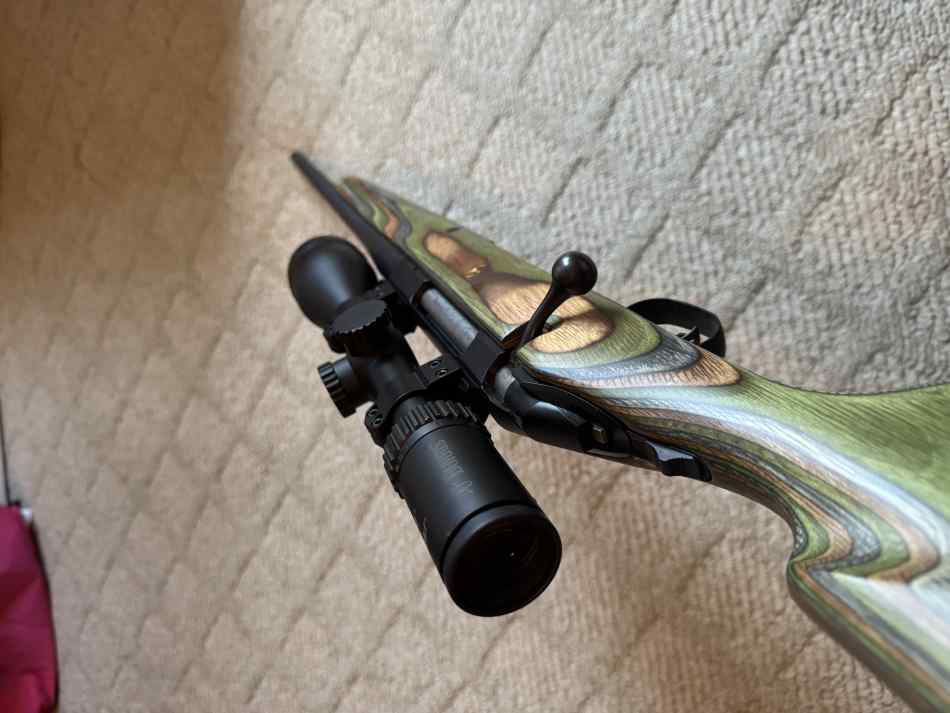 Springfield 30-06