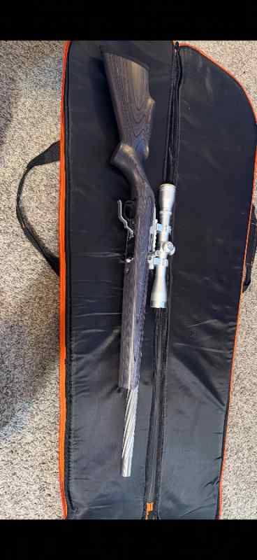 Ruger 10/22 Stainless