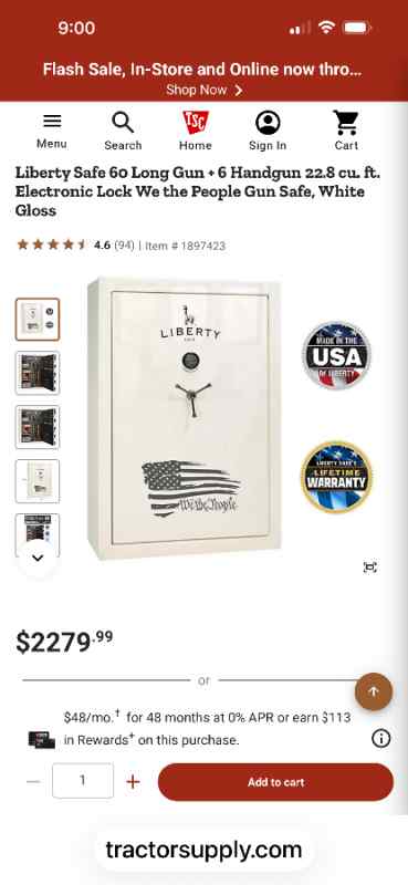 Gun safe